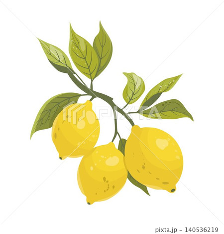 Lemon branch in Italian Mediterranean style with bright yellow citrus and fresh green leaves. Vector illustration on transparent background, perfect for packaging, branding, menus and summer designs. 140536219
