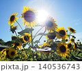 太陽に向かって 140536743