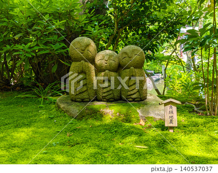鎌倉長谷寺の美しい苔庭に佇む良縁地蔵と初夏の鮮やかな新緑 鎌倉長谷寺の美しい苔庭に佇む良縁地蔵と初夏の鮮やかな新緑 140537037