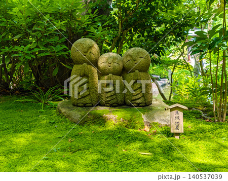 鎌倉長谷寺の美しい苔庭に佇む良縁地蔵と初夏の鮮やかな新緑 鎌倉長谷寺の美しい苔庭に佇む良縁地蔵と初夏の鮮やかな新緑 140537039