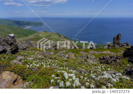 見頃を迎えたイソツツジが咲く恵山の高山風景 北海道函館の絶景登山 見頃を迎えたイソツツジが咲く恵山の高山風景 北海道函館の絶景登山 140537273