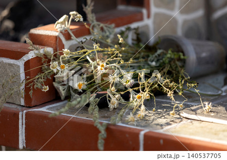 dried wild herbs and chamomile flowers drying on a rustic stone counter under warm sunlight dried wild herbs and chamomile flowers drying on a rustic stone counter under warm sunlight 140537705