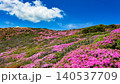 ミヤマキリシマ満開の山々_大分県 くじゅう連山 140537709