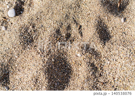 Close-up of sea sand and colorful pebbles on a beach. Close-up of sea sand and colorful pebbles on a beach. 140538076