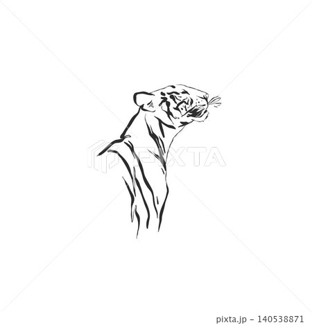 Hand drawn abstract vector graphic illustration collection with stylized line exotic tiger animals set design .Trendy modern exotic sketch animal concept.Vector nature tiger sketch symbol isolated. Hand drawn abstract vector graphic illustration collection with stylized line exotic tiger animals set design .Trendy modern exotic sketch animal concept.Vector nature tiger sketch symbol isolated. 140538871