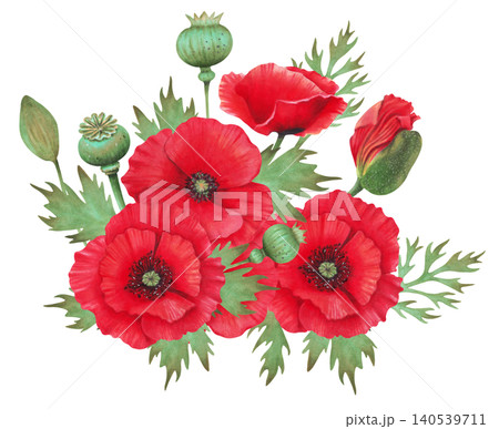 Composition of poppy buds with petals and capsules. Watercolor illustration. Poppy Day. Hand drawn isolated art. Image of a botanical plant. Spring and labor holiday. Remembrance. ANZAC Day Composition of poppy buds with petals and capsules. Watercolor illustration. Poppy Day. Hand drawn isolated art. Image of a botanical plant. Spring and labor holiday. Remembrance. ANZAC Day 140539711