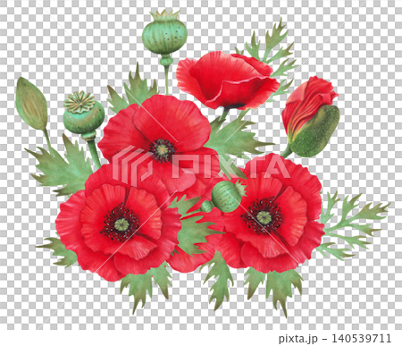 Composition of poppy buds with petals and capsules. Watercolor illustration. Poppy Day. Hand drawn isolated art. Image of a botanical plant. Spring and labor holiday. Remembrance. ANZAC Day Composition of poppy buds with petals and capsules. Watercolor illustration. Poppy Day. Hand drawn isolated art. Image of a botanical plant. Spring and labor holiday. Remembrance. ANZAC Day 140539711