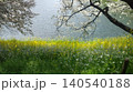 桜と菜の花 140540188