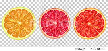 Juicy half of a red grapefruit or orange. Watercolor botanical illustration. Hand drawn isolated clip art. Healthy citrus fruit for juice packaging, menu items. Production, harvesting 140540192
