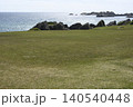 種差海岸天然芝生地 140540448