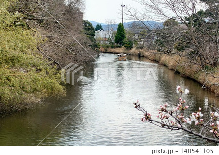 松江城のお堀をゆく堀川遊覧船と春の桜 松江城のお堀をゆく堀川遊覧船と春の桜 140541105
