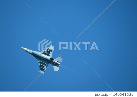 F-2戦闘機の勇姿 F-2戦闘機の勇姿 140541533