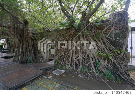 安平樹屋、安平、台南市、台湾 安平樹屋、安平、台南市、台湾 140542462