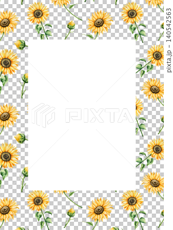 Watercolor frame, postcard, template with sunflowers in warm autumn tones. Botanical hand drawn illustration isolated on background. Ideal for seasonal, halloween, forest, logo, nature-themed designs Watercolor frame, postcard, template with sunflowers in warm autumn tones. Botanical hand drawn illustration isolated on background. Ideal for seasonal, halloween, forest, logo, nature-themed designs 140542563