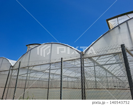 Large greenhouses are seen from a low angle. A chain link fence surrounds them. The clear blue sky highlights the curved roofs of the greenhouses. Large greenhouses are seen from a low angle. A chain link fence surrounds them. The clear blue sky highlights the curved roofs of the greenhouses. 140543752