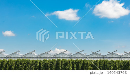 New industrial modern greenhouse with blue sky background. Hothouse used for growing vegetables and berries. Food farming industry. Nobody, copy space for text New industrial modern greenhouse with blue sky background. Hothouse used for growing vegetables and berries. Food farming industry. Nobody, copy space for text 140543768