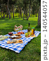 Summer picnic in green clearing park 140544057