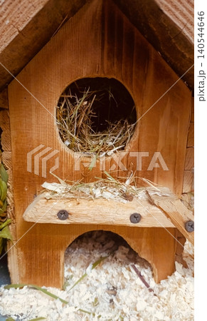 Wooden Small Animal House with Hay Nest and Wood Shavings - Hamster Cage Habitat Close-up 140544646