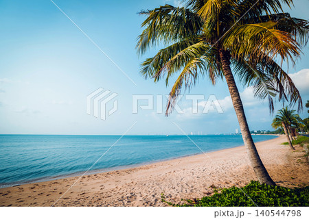 Beautiful tropical beach with palm trees. Daylight Beautiful tropical beach with palm trees. Daylight 140544798