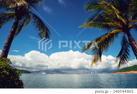 Beautiful tropical beach with palm trees. Daylight Beautiful tropical beach with palm trees. Daylight 140544805