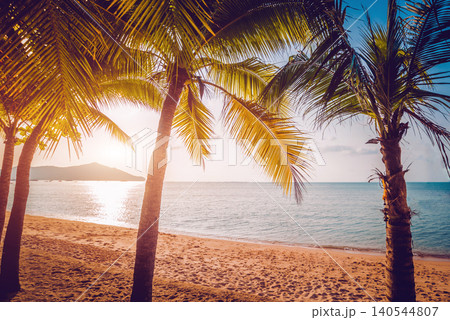Beautiful tropical beach with palm trees. Daylight Beautiful tropical beach with palm trees. Daylight 140544807