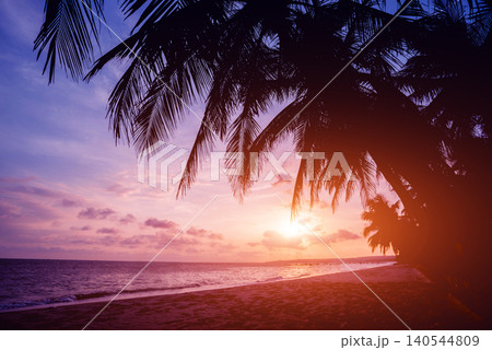 Beautiful tropical beach with palm trees. Sunrises and sunsets. Ocean Beautiful tropical beach with palm trees. Sunrises and sunsets. Ocean 140544809