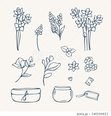 Hand drawn spring botanical elements and florist garden doodle set Hand drawn spring botanical elements and florist garden doodle set 140544913