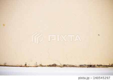 Black mold growing on damp bathroom wall Black mold growing on damp bathroom wall 140545297