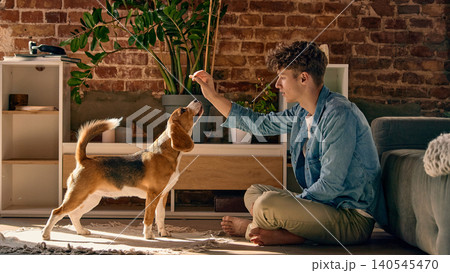 Young man training beagle dog with reward command during obedience session at home. Young man training beagle dog with reward command during obedience session at home. 140545470