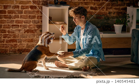 Beagle giving paw to owner during training session indoors in warm home environment. Beagle giving paw to owner during training session indoors in warm home environment. 140545481