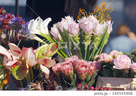 Exotic Flowers Protea Peonies and Calla Lilies at Embassy festival in Prague Dejvice Exotic Flowers Protea Peonies and Calla Lilies at Embassy festival in Prague Dejvice 140545906