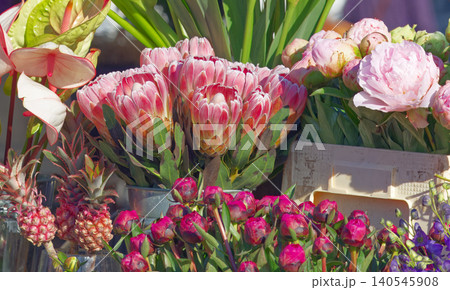 Exotic pink proteas and peonies at outdoor flower market in Prague Dejvice 140545908