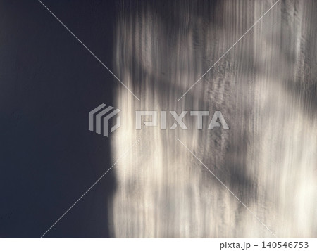 abstract chiaroscuro shadow of branches cast on a textured gray concrete wall with warm morning sunlight abstract chiaroscuro shadow of branches cast on a textured gray concrete wall with warm morning sunlight 140546753