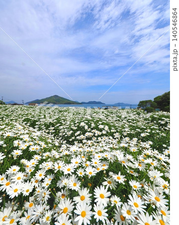 フラワーパーク浦島2026(香川県三豊市)6 フラワーパーク浦島2026(香川県三豊市)6 140546864