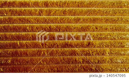 golden ribbed texture macro closeup with warm earthy horizontal stripes and plush fibrous detail in rich amber tones golden ribbed texture macro closeup with warm earthy horizontal stripes and plush fibrous detail in rich amber tones 140547095