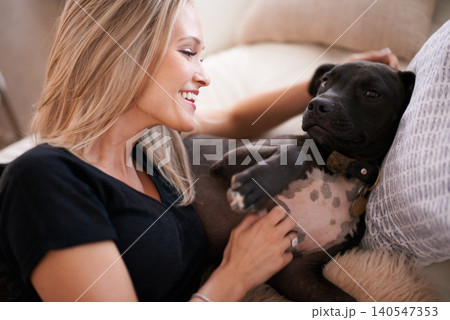 Happy, scratch or woman and dog on a sofa with love, care and bonding at home together. Pets, attention and female person relax with pitbull puppy in living room with security, trust or foster safety Happy, scratch or woman and dog on a sofa with love, care and bonding at home together. Pets, attention and female person relax with pitbull puppy in living room with security, trust or foster safety 140547353