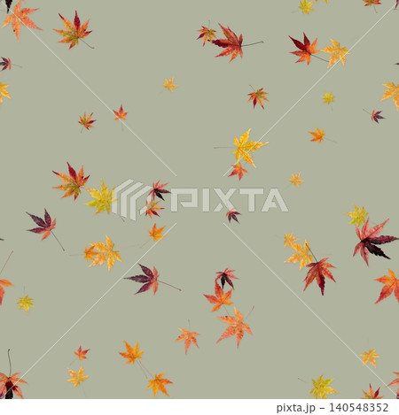 押し花もみじ紅葉のシームレスパターン セージグリーン背景 140548352