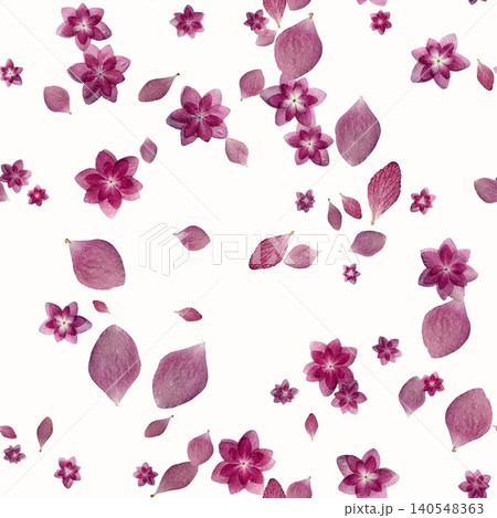 押し花あじさいピンクのシームレスパターン 白背景 押し花あじさいピンクのシームレスパターン 白背景 140548363