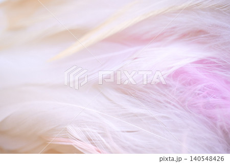 Soft, delicate feathers in shades of white and pink create a textured background, highlighting the intricate details and natural beauty of the plumage Soft, delicate feathers in shades of white and pink create a textured background, highlighting the intricate details and natural beauty of the plumage 140548426