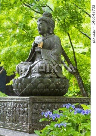 長谷寺の紫陽花（鎌倉） 140548732