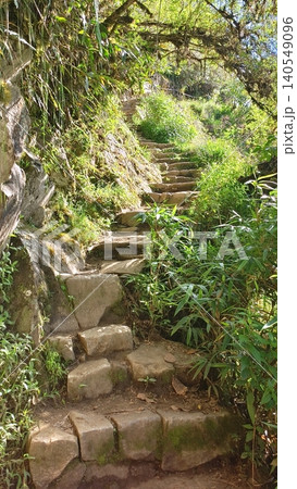 An ancient stone staircase amidst the green tropical jungle. An ancient stone staircase amidst the green tropical jungle. 140549096