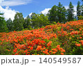 袴越のレンゲツツジ群生地（長野県松本市） 140549587