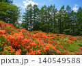 袴越のレンゲツツジ群生地（長野県松本市） 140549588