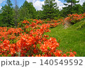 袴越のレンゲツツジ群生地（長野県松本市） 140549592