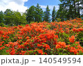 袴越のレンゲツツジ群生地（長野県松本市） 140549594