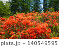 袴越のレンゲツツジ群生地（長野県松本市） 140549595