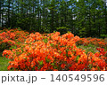 袴越のレンゲツツジ群生地（長野県松本市） 140549596