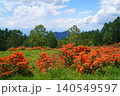 袴越のレンゲツツジ群生地（長野県松本市） 140549597