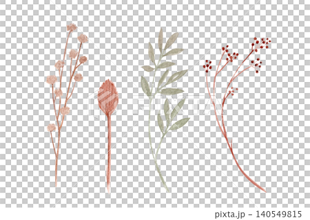 Wildflowers, leaves, dried stems and berries watercolor botanical set. Hand painted illustration isolated on white. Great for stationery, wedding designs, invitations, branding and boho projects 140549815