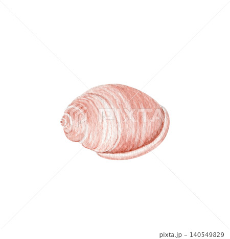 Watercolor spiral seashell illustration isolated on white. Hand painted pink marine shell, soft pastel tones. Coastal element for beach decor, summer stationery, wedding invitations, nautical designs Watercolor spiral seashell illustration isolated on white. Hand painted pink marine shell, soft pastel tones. Coastal element for beach decor, summer stationery, wedding invitations, nautical designs 140549829